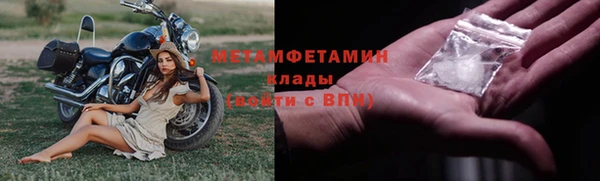 прущие грибы Кукмор