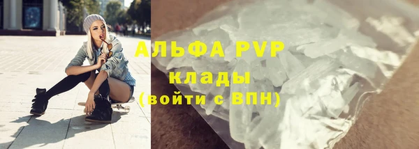 прущие грибы Кукмор