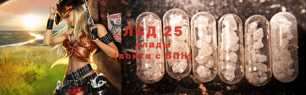 прущие грибы Кукмор