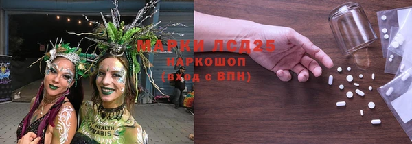 прущие грибы Кукмор
