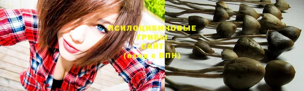 прущие грибы Кукмор