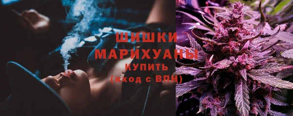 прущие грибы Кукмор