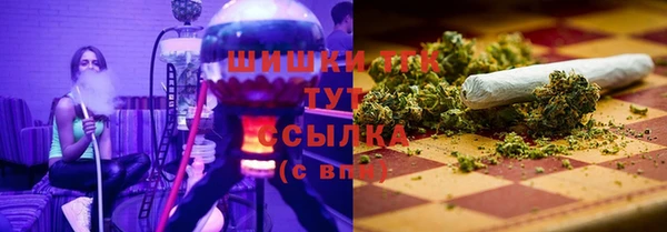 прущие грибы Кукмор