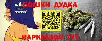 спиды Гатчина