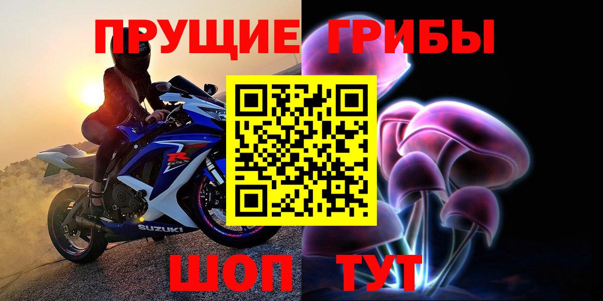 Псилоцибиновые грибы Psilocybine cubensis  Вход с VPN  Киров 